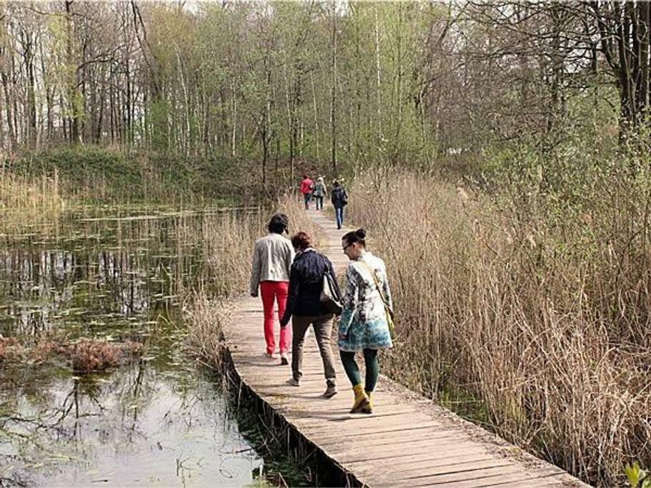 Villa Kempen-Broek Weert Ngoại thất bức ảnh